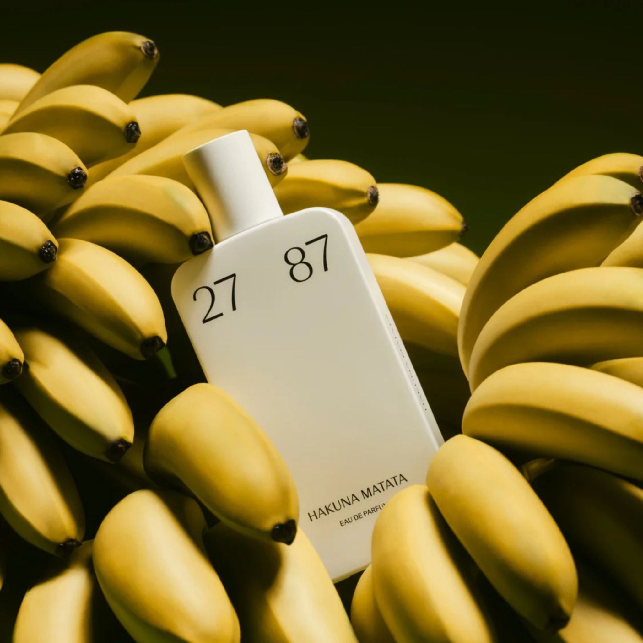 Hakuna Matata 27 87: A Carefree Fragrance Philosophy