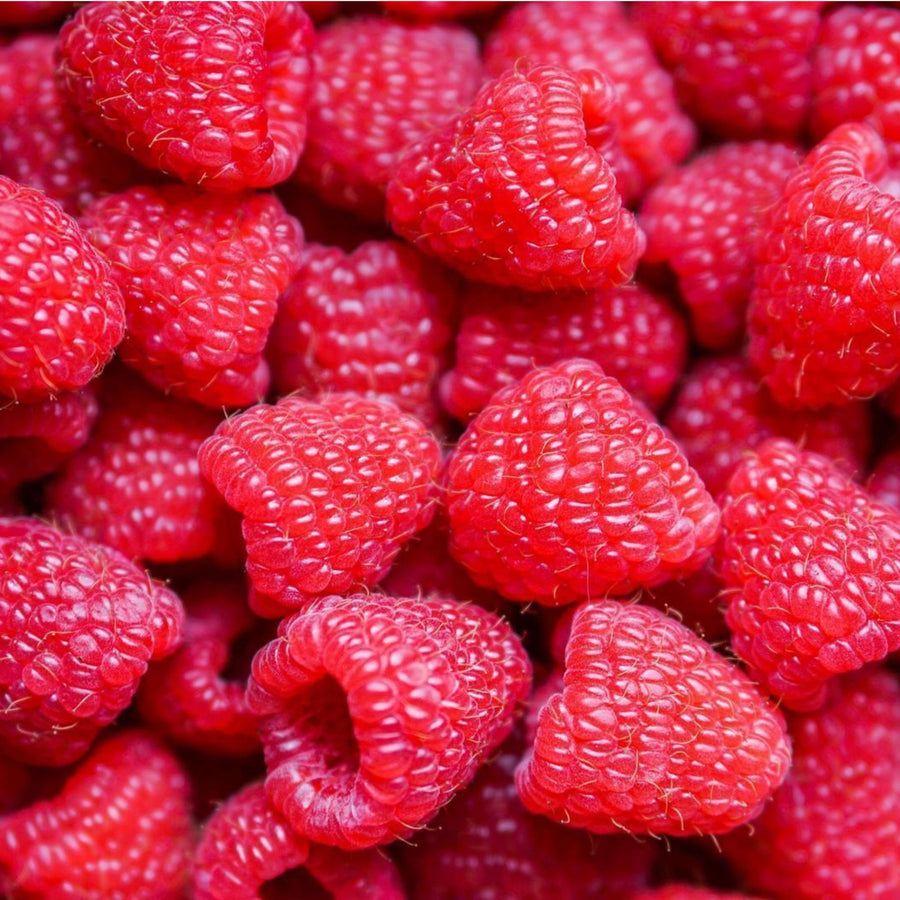 Indulge in Raspberry Fragrances! | parfumexquis