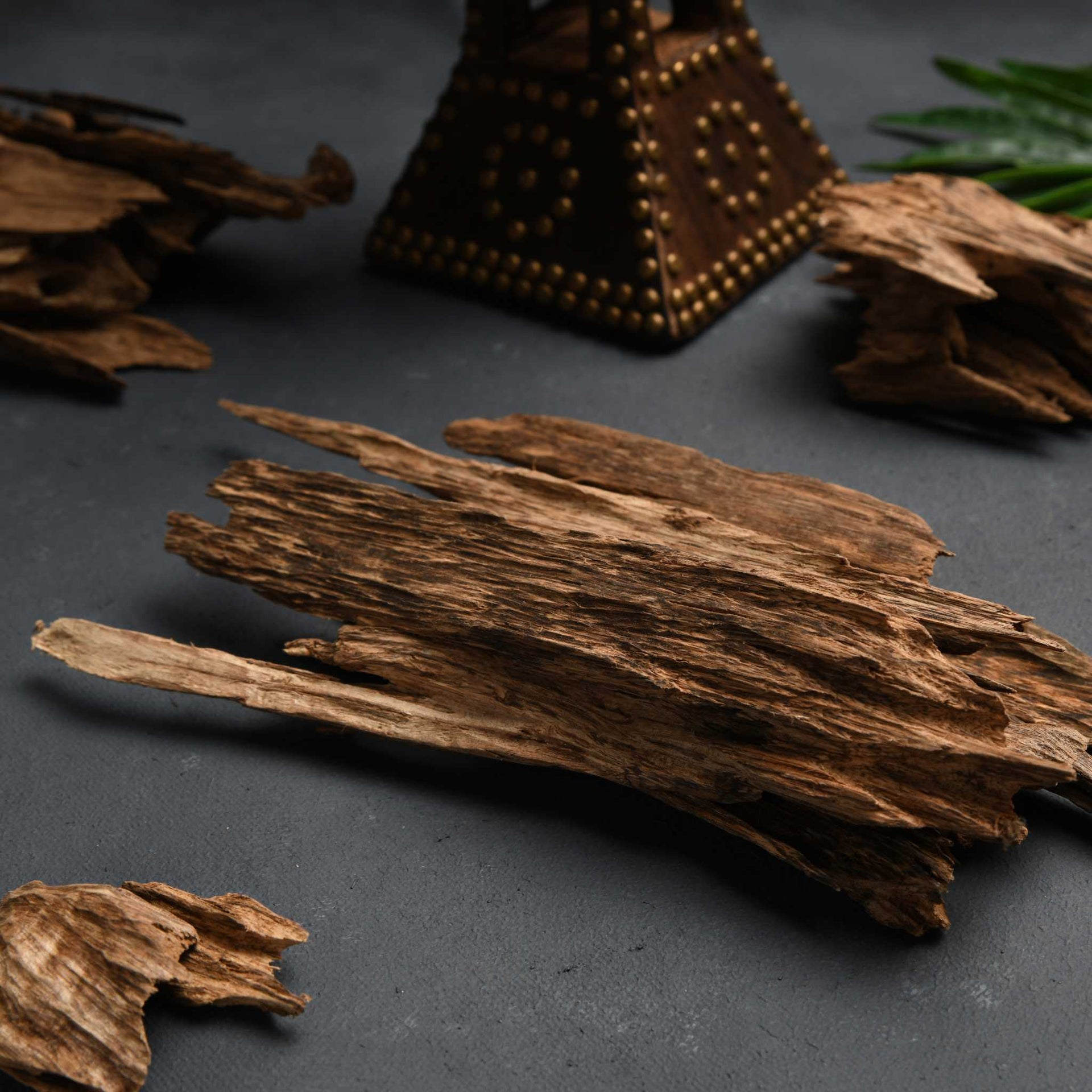 Top Oud Fragrances for Men 2023 A Guide to the Best Oud Scents