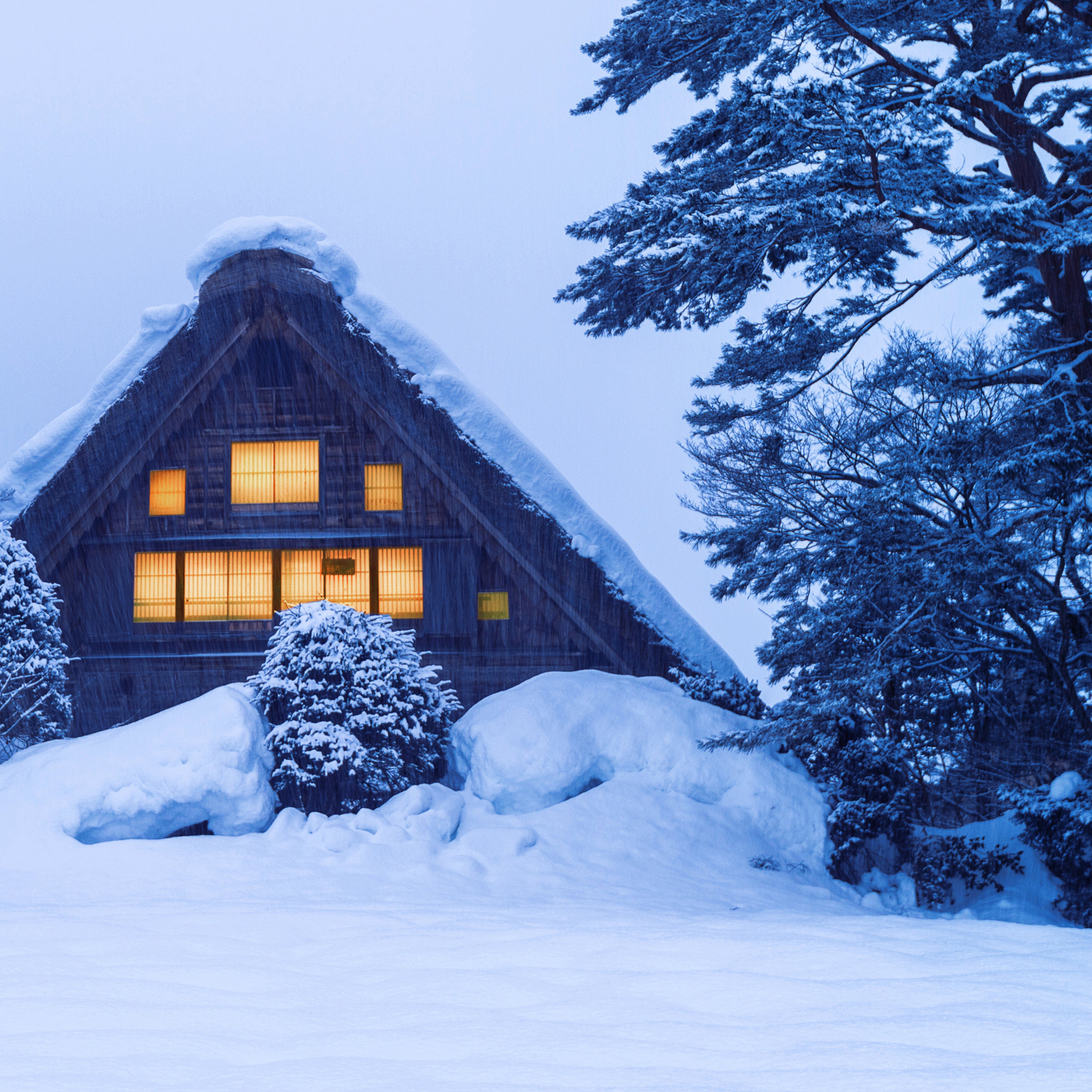 Cashmere-cozy winter perfume mood board with amber warmth, boozy gourmand notes, and smoky incense vibes