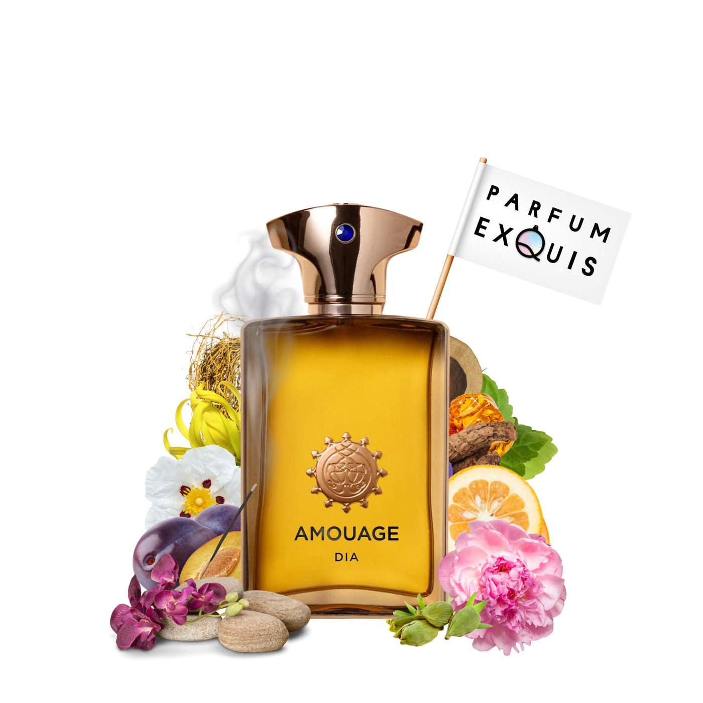 Dia Men Amouage parfumexquis