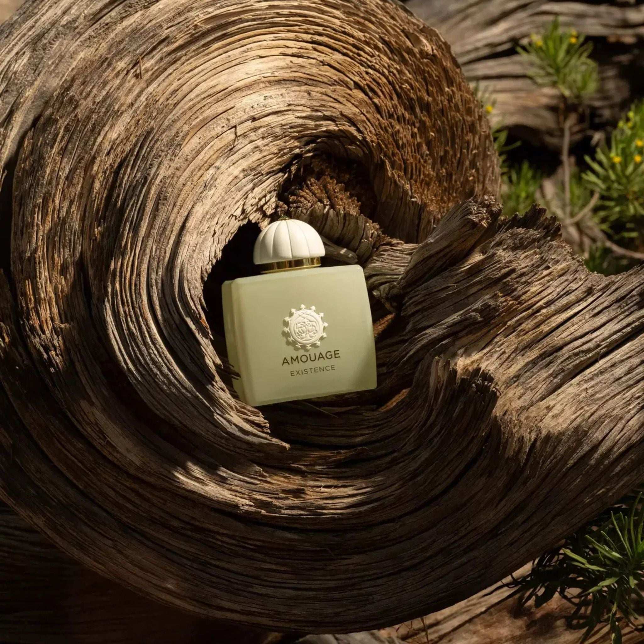 Existence | Amouage | parfumexquis