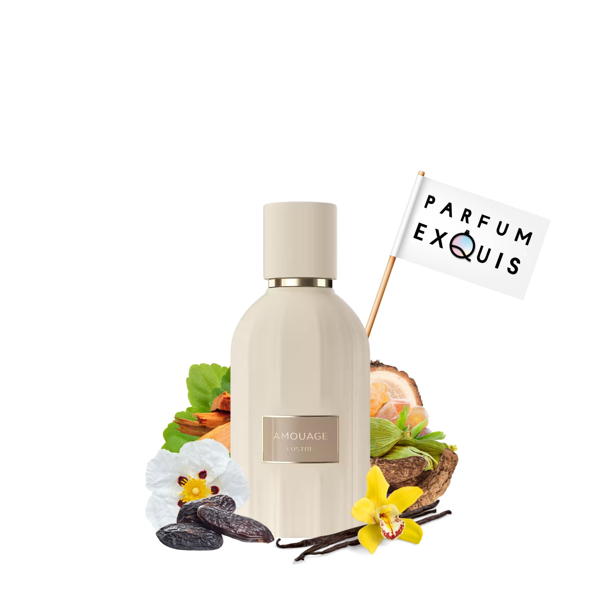 Lustre | parfumexquis
