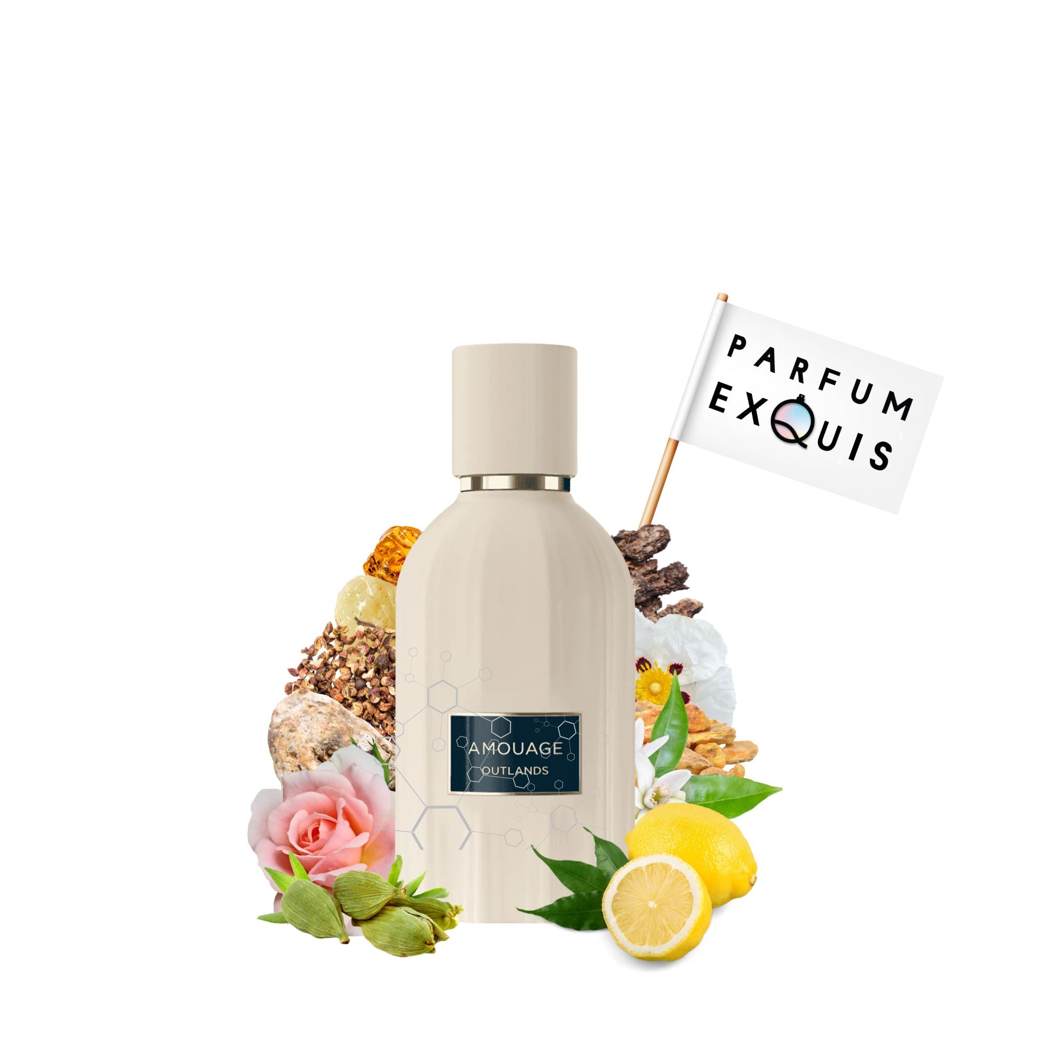 新品未開封 AMOUAGE OUTLANDS 100ml Outlands Perfume by Amouage EDP