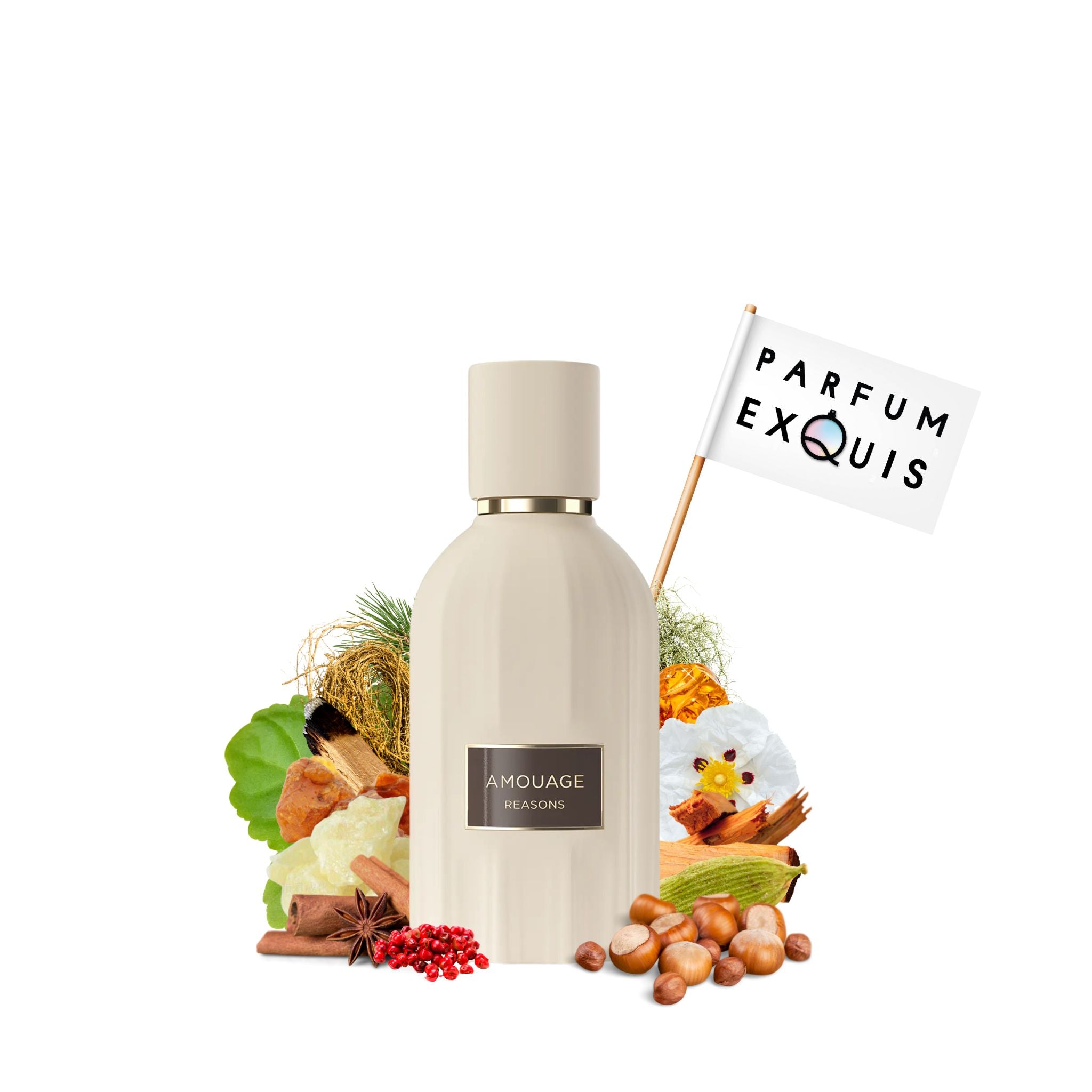 Reasons | Amouage | parfumexquis