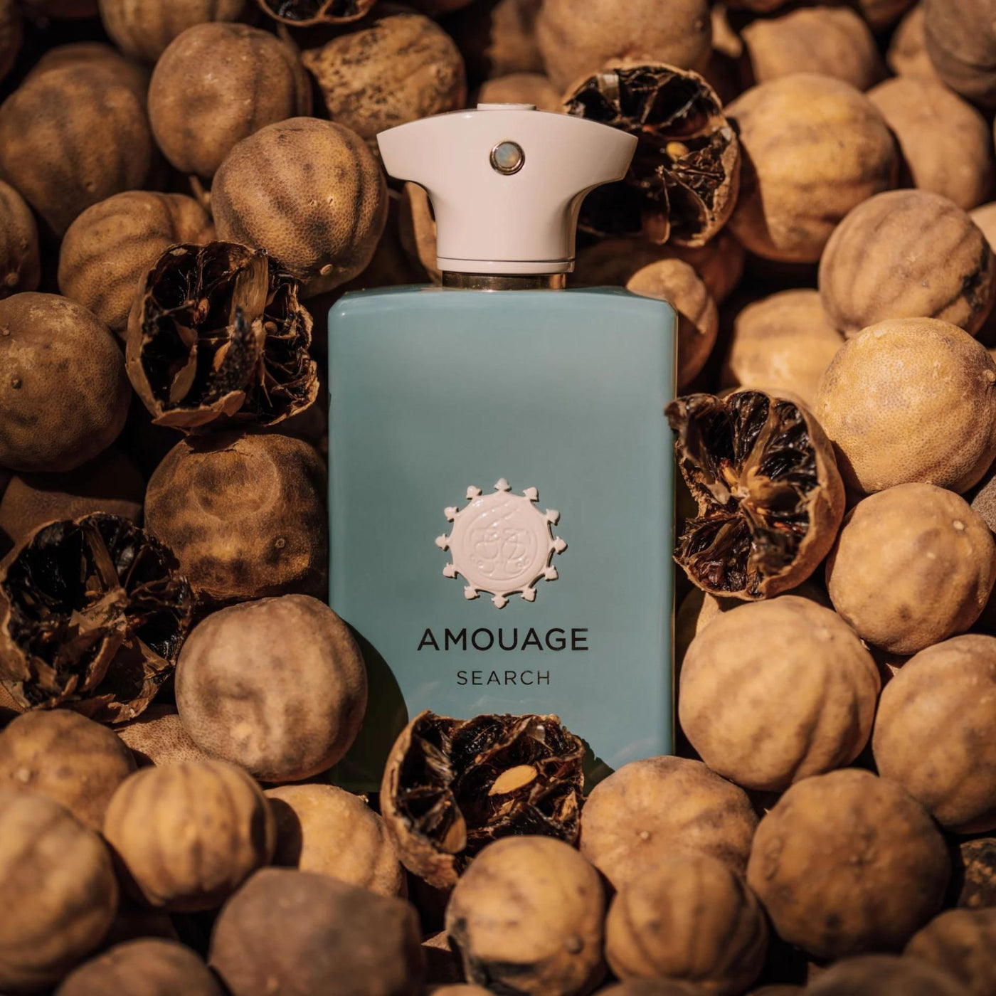 Fragrance Search Amouage