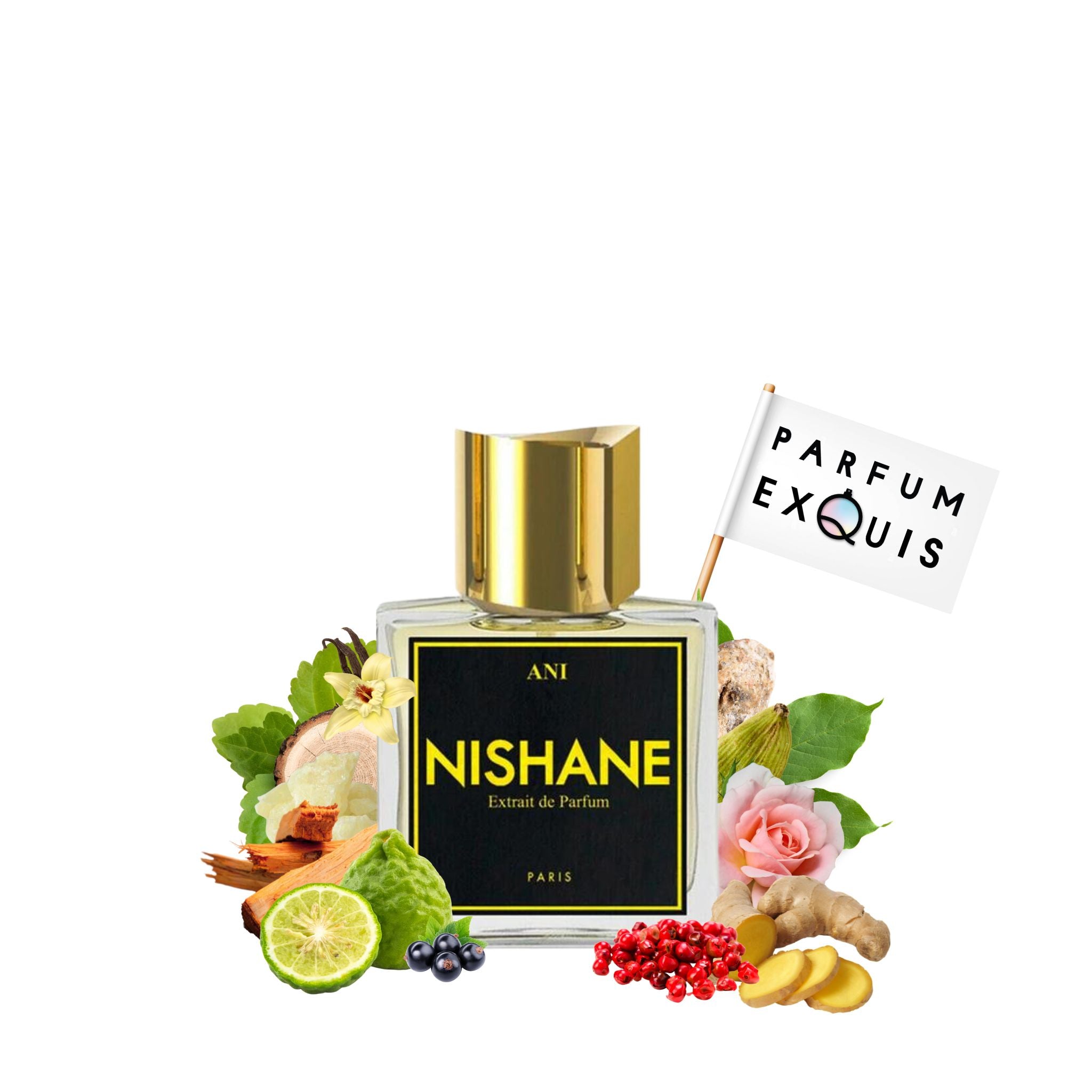 Nishane Extrait De Ani Nishane Perfume Ani Nishane Parfumexquis
