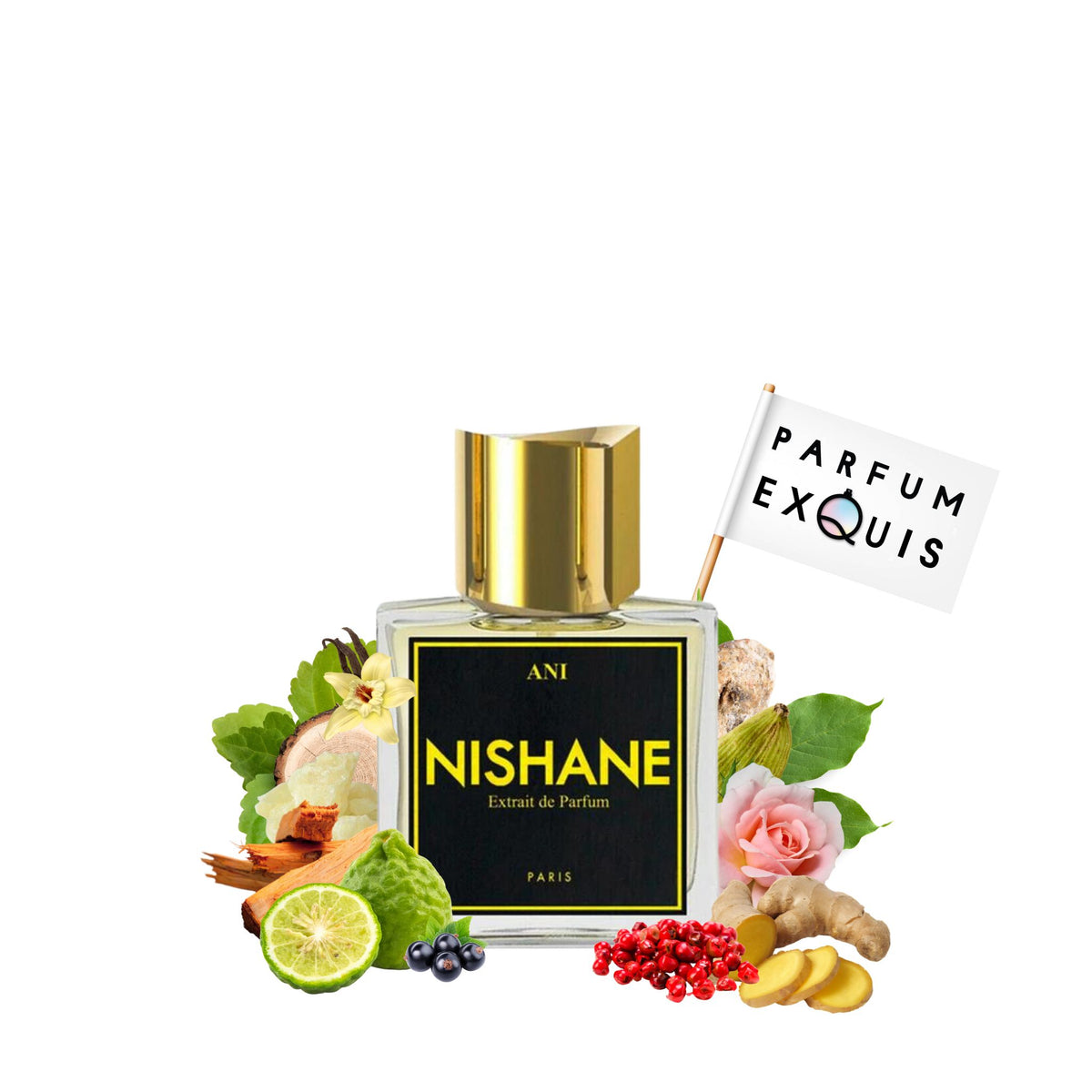 Nishane Ani X by Nishane, 1.7 oz Extrait de Parfum for Unisex main image 0