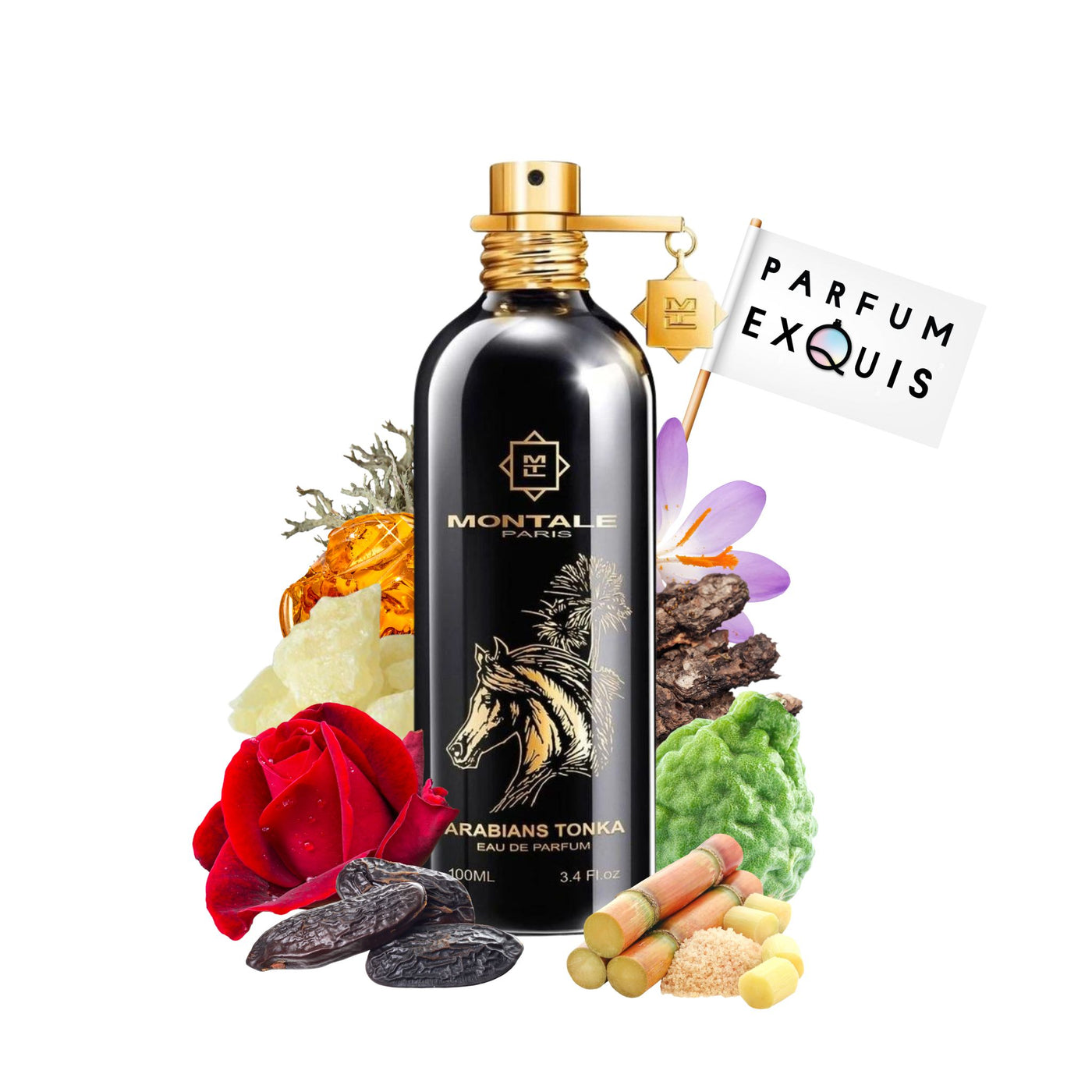 Arabians Tonka | Montale | parfumexquis
