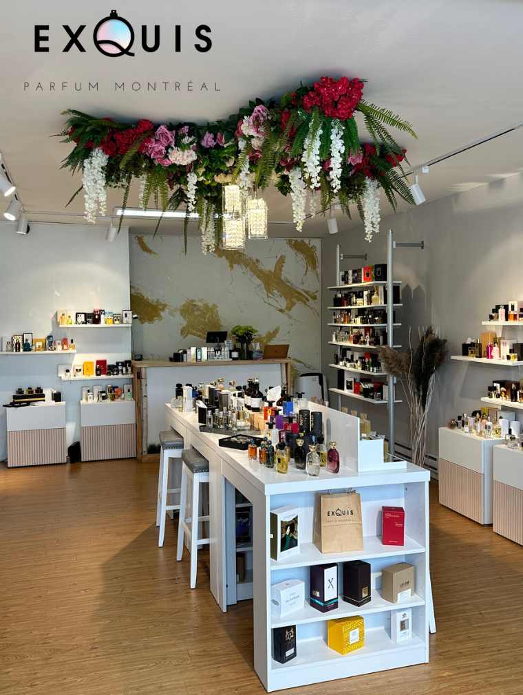 Interior view of Parfum Exquis store showcasing elegantly displayed perfume collection on wooden shelves, representing the wide variety of luxury fragrances available.