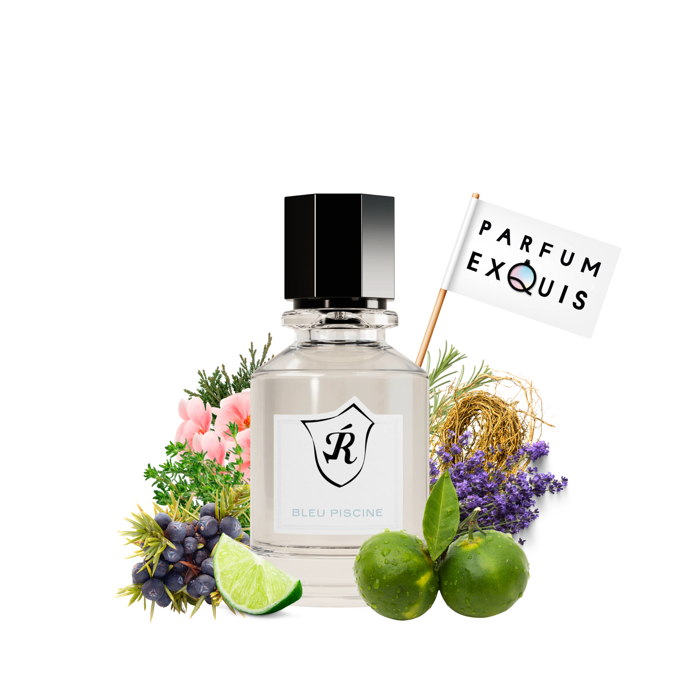 Perfume Bleu Pascine Reservation