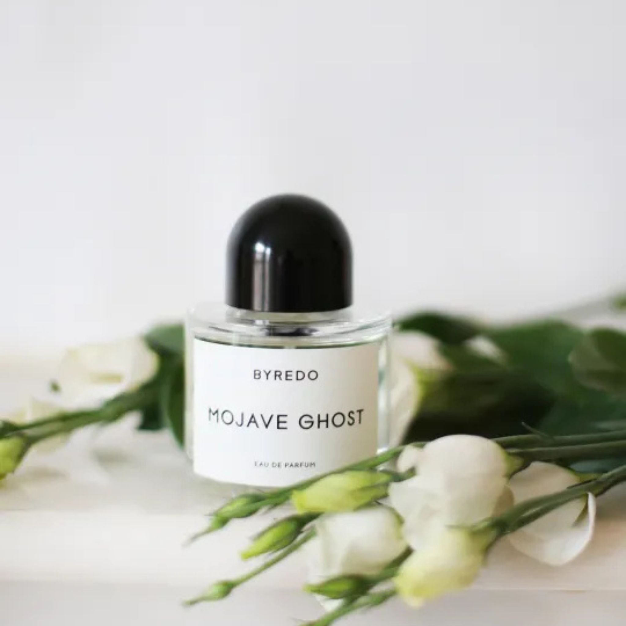 Mojave Ghost | Byredo | parfumexquis