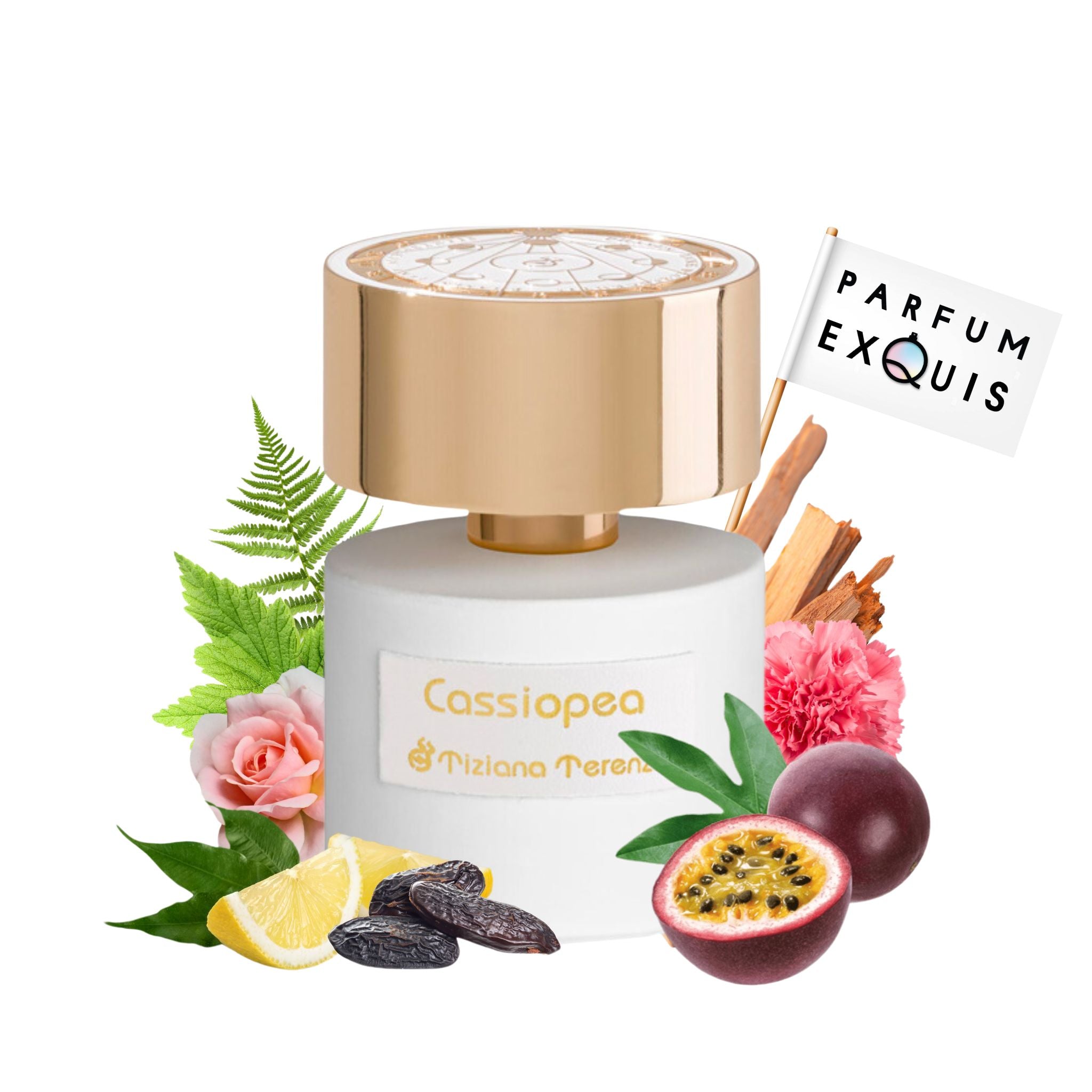 Cassiopea by Tiziana Terenzi Timeless Niche Perfume parfumexquis