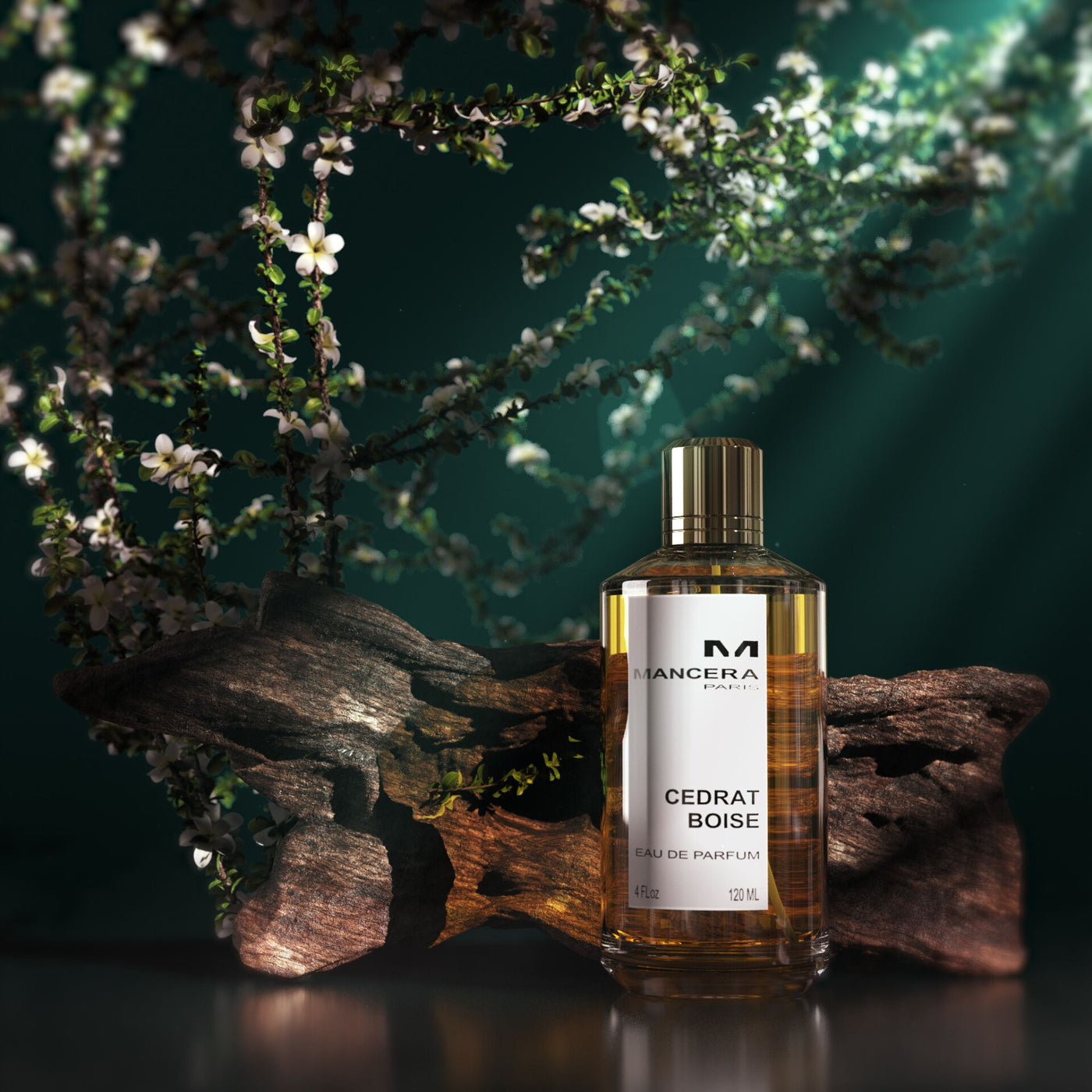 Cedrat Boise Mancera | Parfum Exquis | parfumexquis