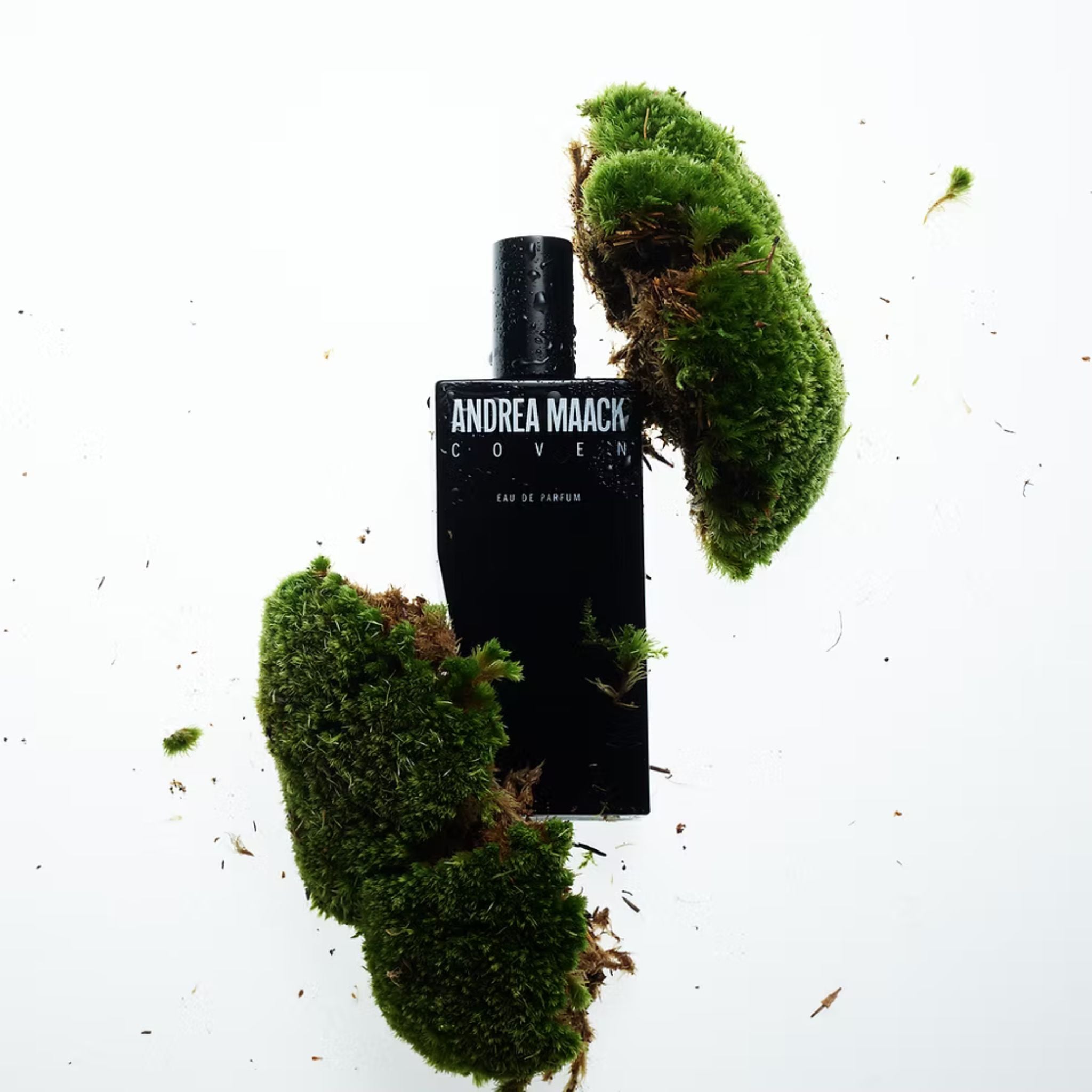 Coven | Andrea Maack | parfumexquis