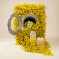 BDK Mimosa Eau de Lessive