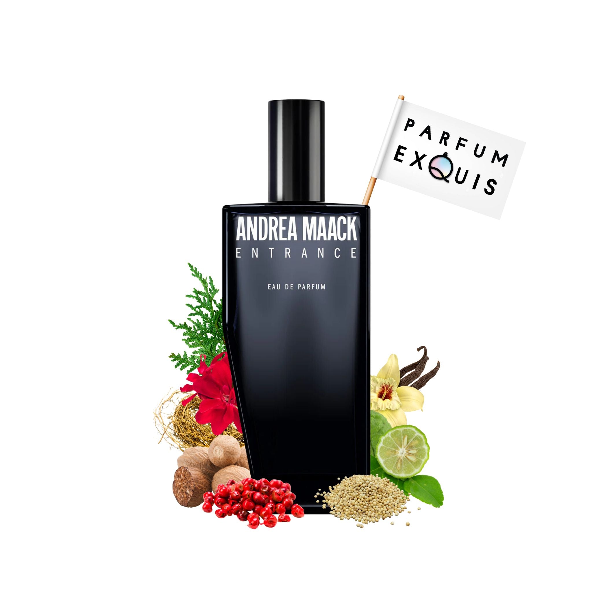 Entrance | Andrea Maack | parfumexquis