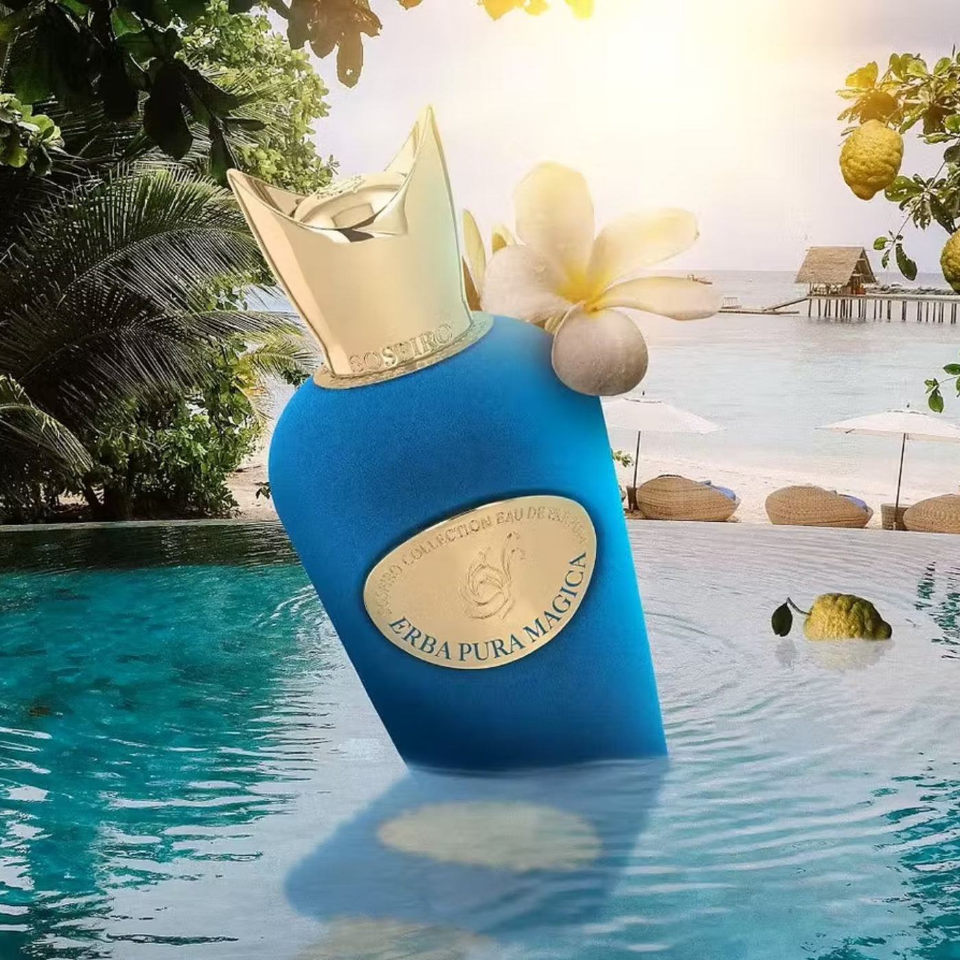 Pura Eau De Parfum Sospiro Erba Pura Pareri Erba Pura Sospiro