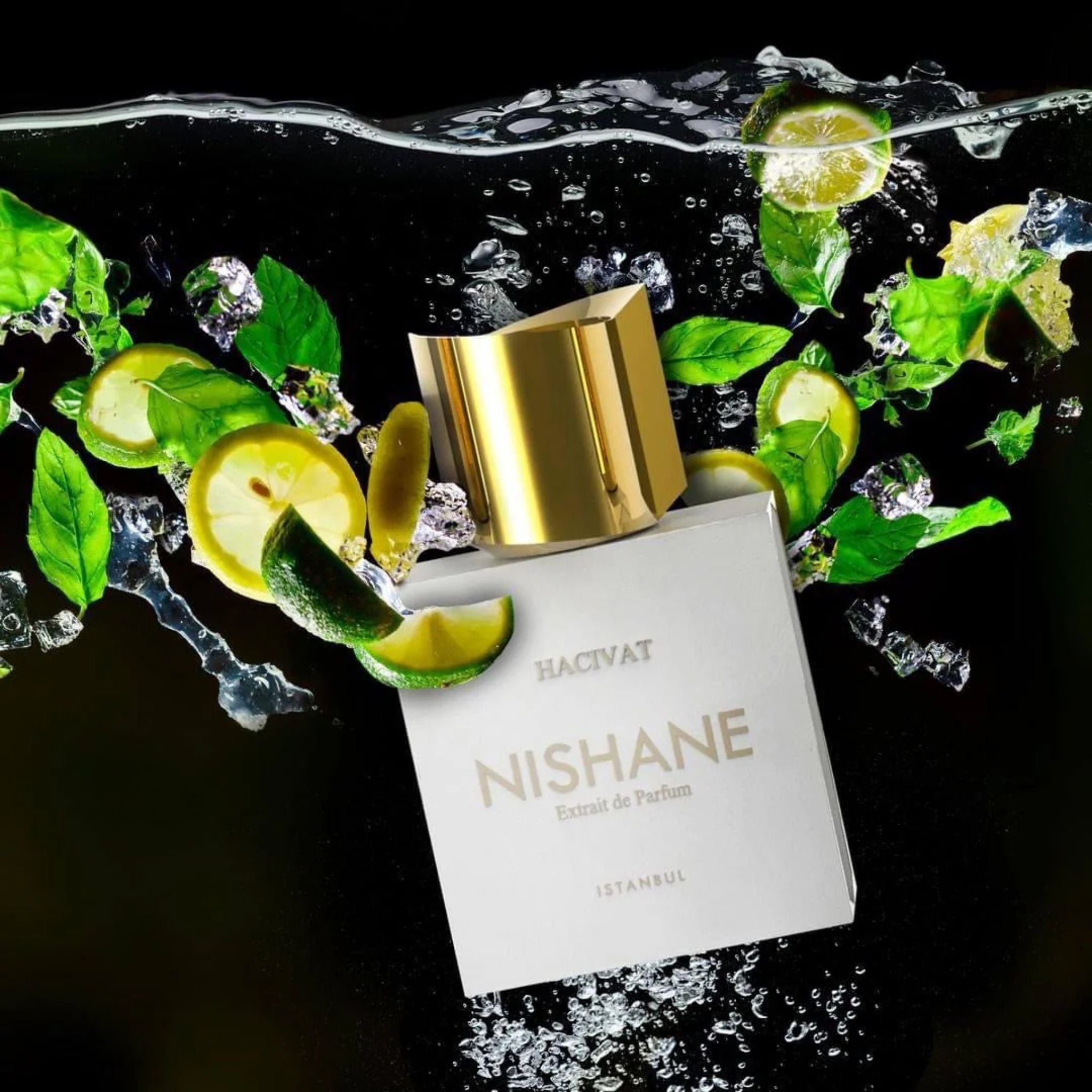 Hacivat Eau de Parfum Nishane 100ml Bottle | parfumexquis