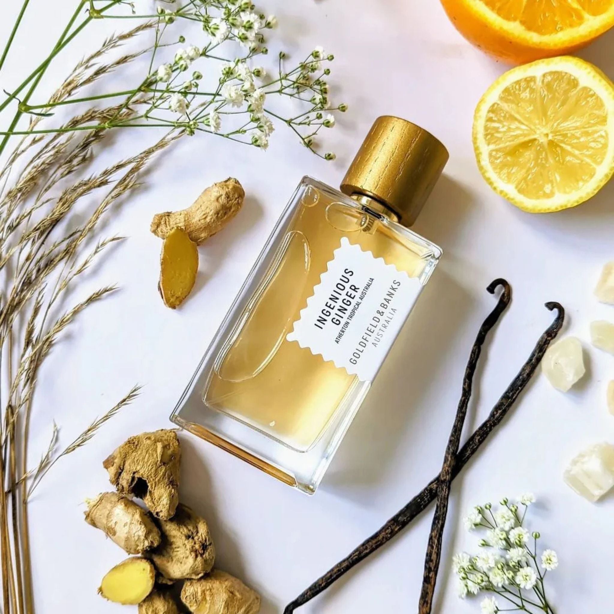 Ingenious Ginger | Goldfield & Banks | parfumexquis