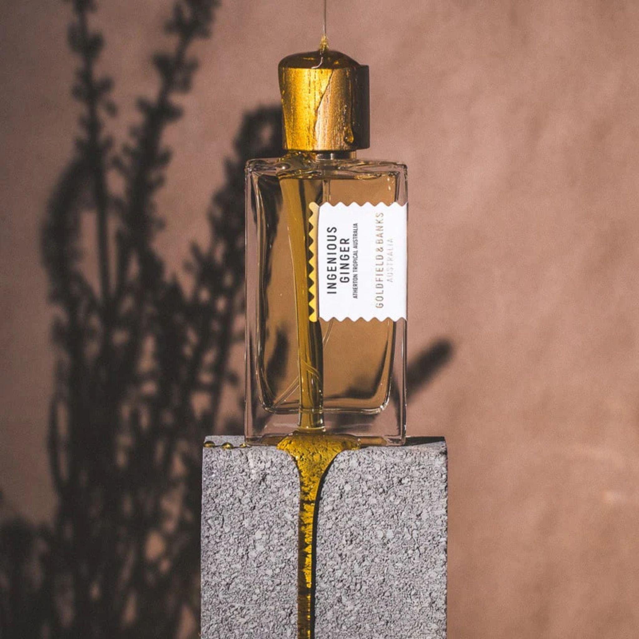Ingenious Ginger Goldfield&Banks Perfume 