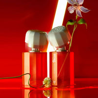 Ramon Monegal Ibiza #LOVEREACTION Perfume