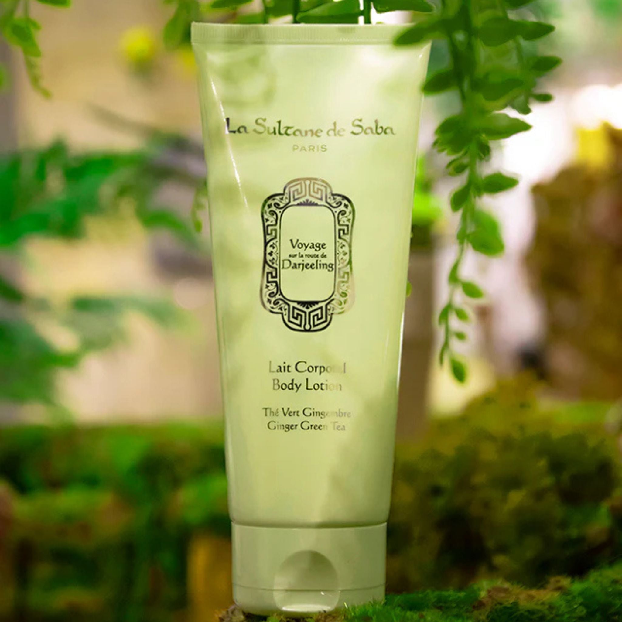 Body Lotion Ginger Green Tea La Sultane De Saba 