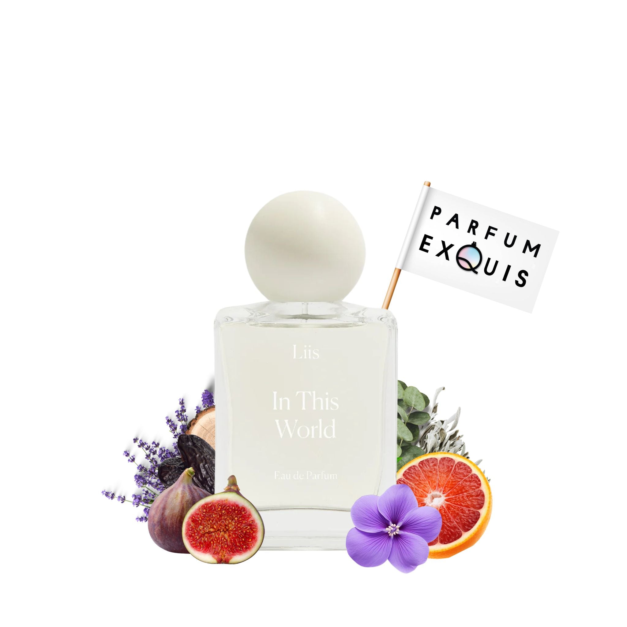 香水(ユニセックス) Liis In This World 50ml In This World | Liis | parfumexquis