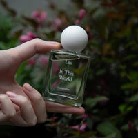 In This World Liis Fragrance