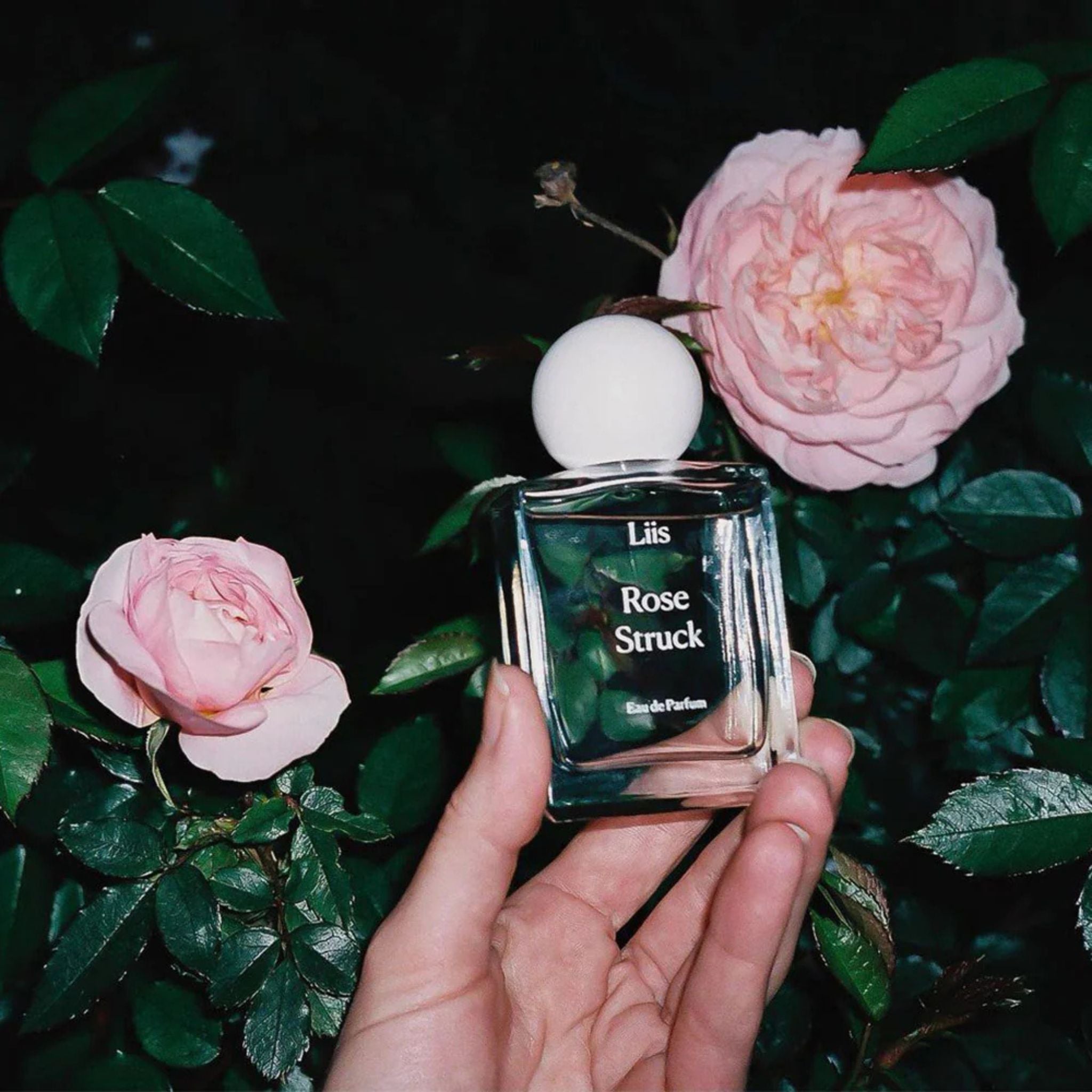 Rose Struck Liis Perfume