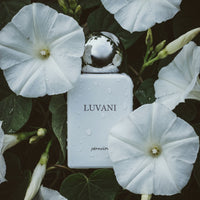 Luvani Pernoire Perfume