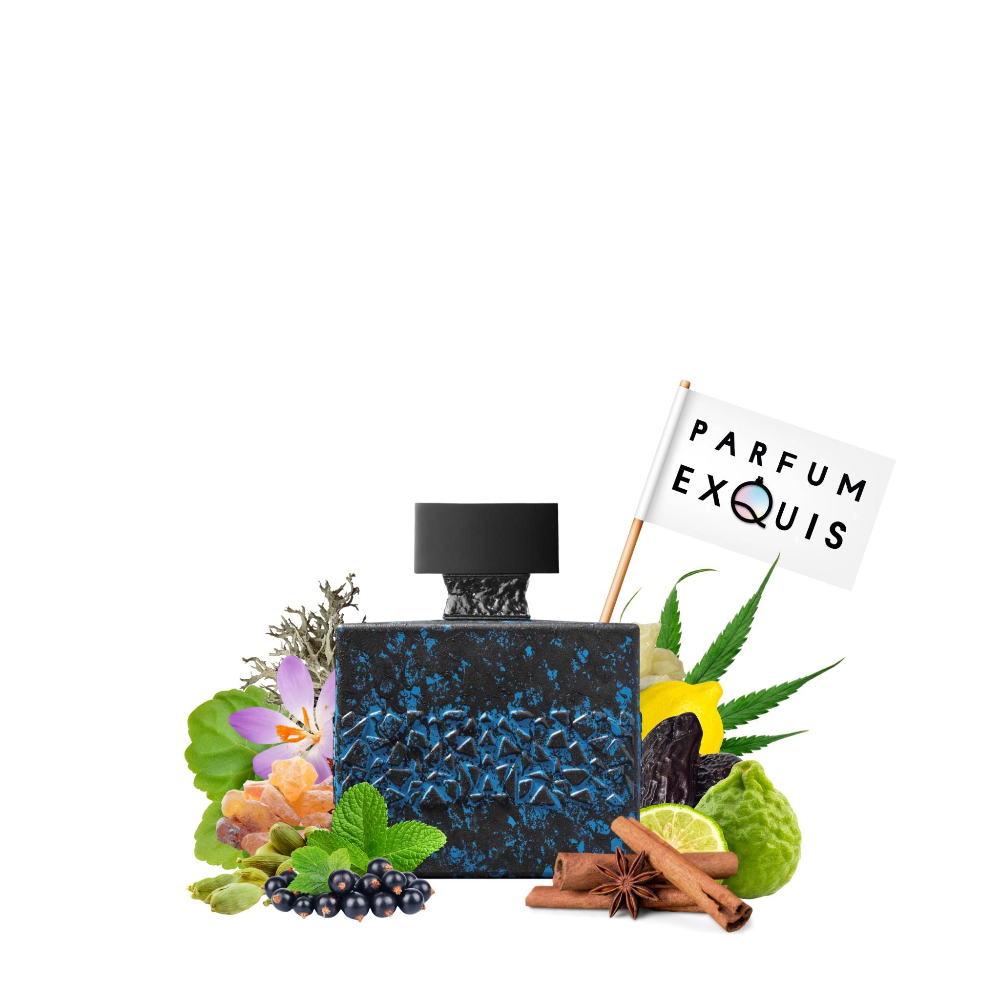 DesirToxic L'Intense | M.Micallef | parfumexquis