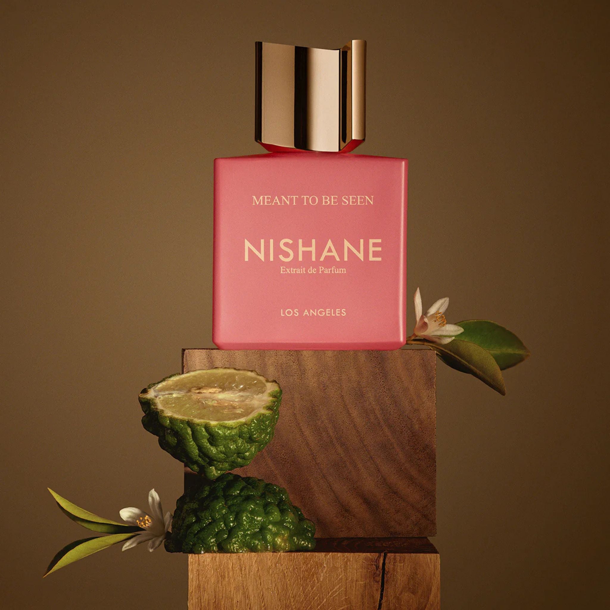 Meant to be seen | Nishane | parfumexquis