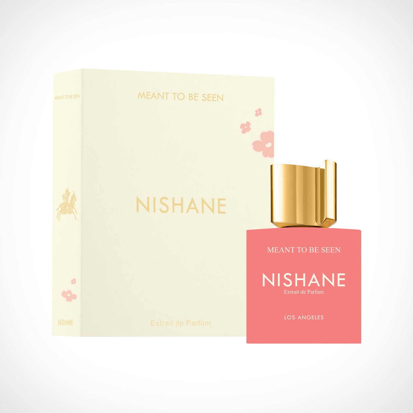 Meant To Be Seen Nishane Box