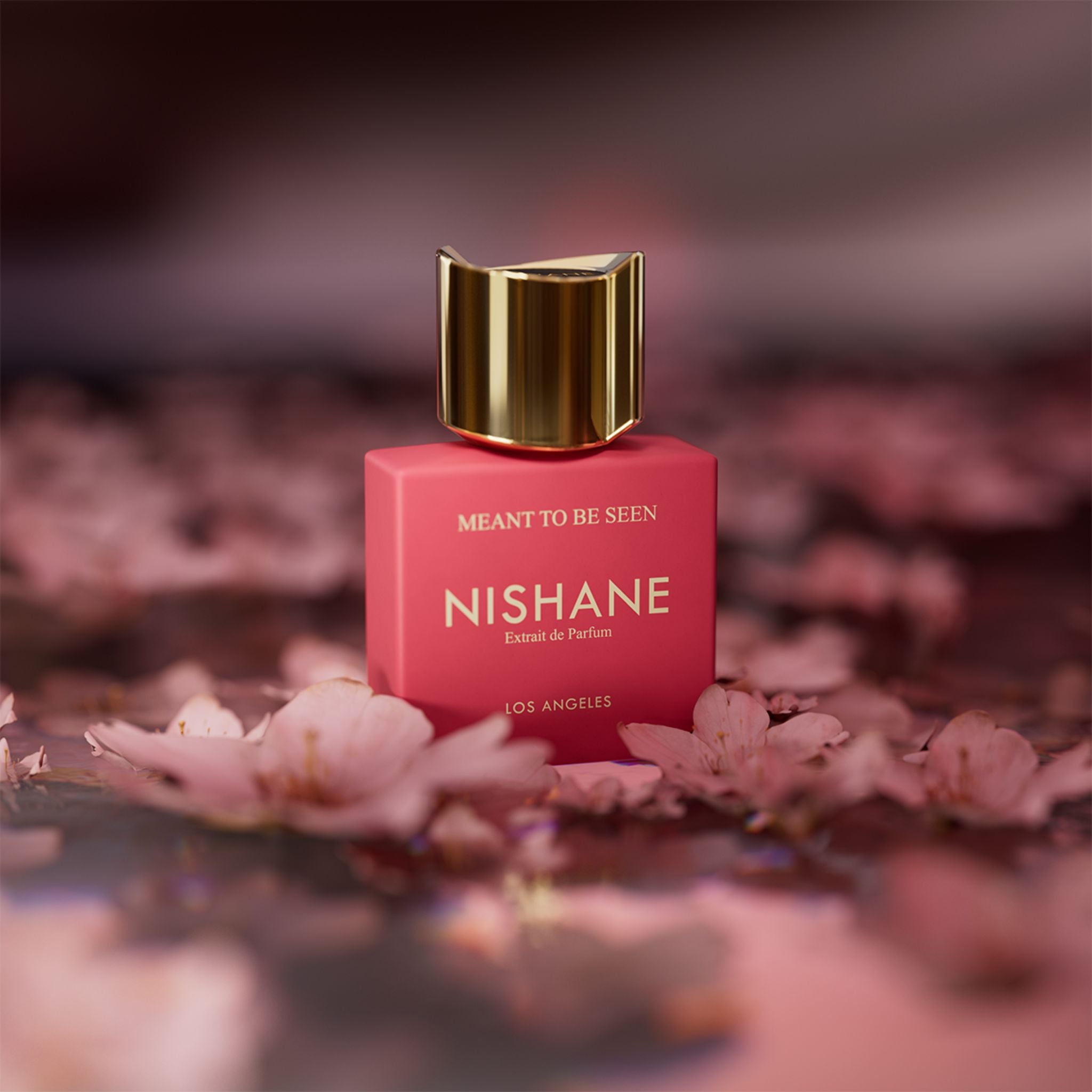 Meant to be seen | Nishane | parfumexquis