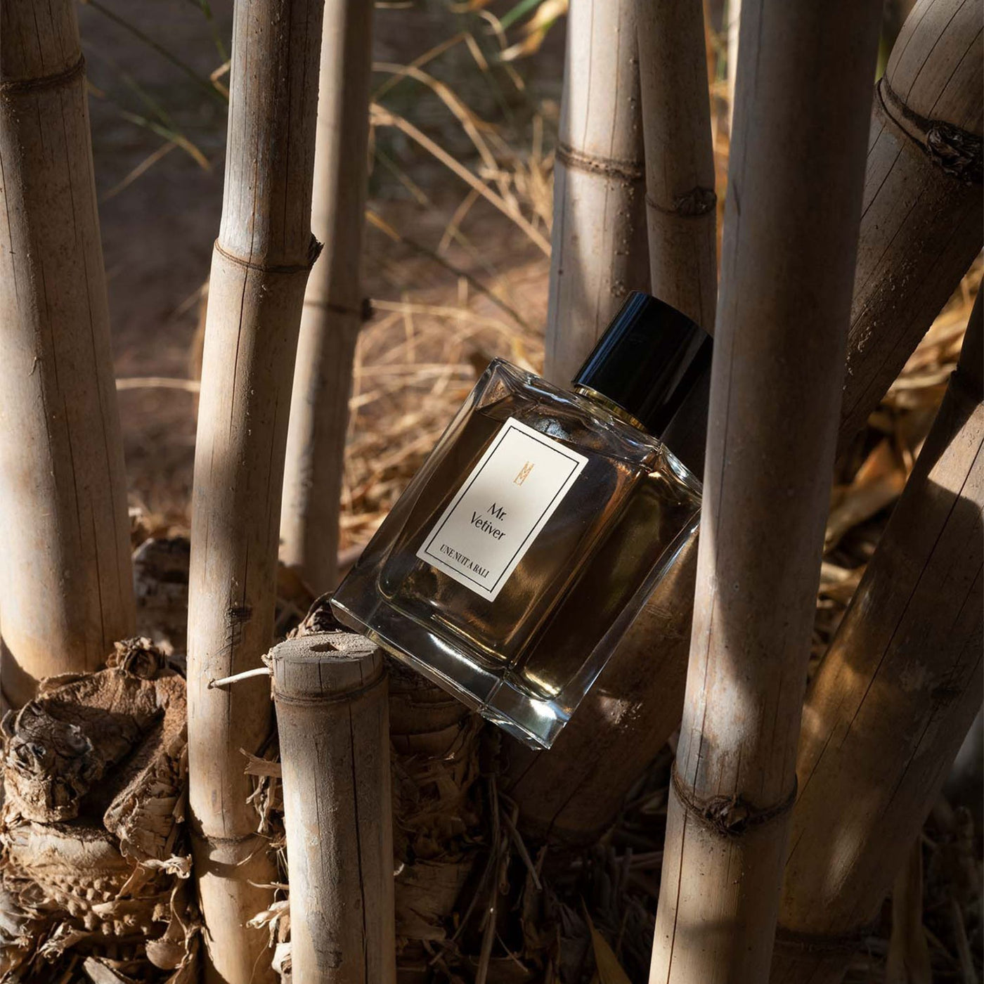 Une Nuit Nomade Mr. Vetiver Perfume