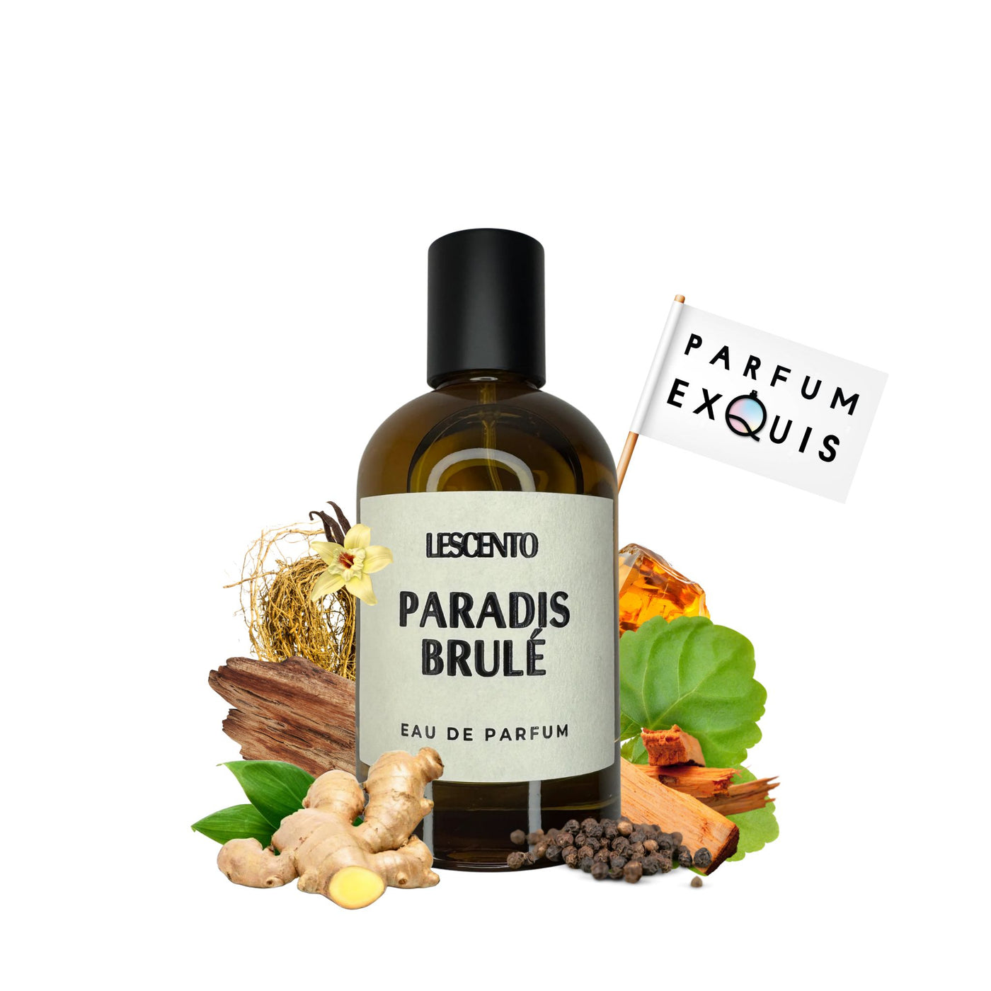 Paradis Brule Lescento