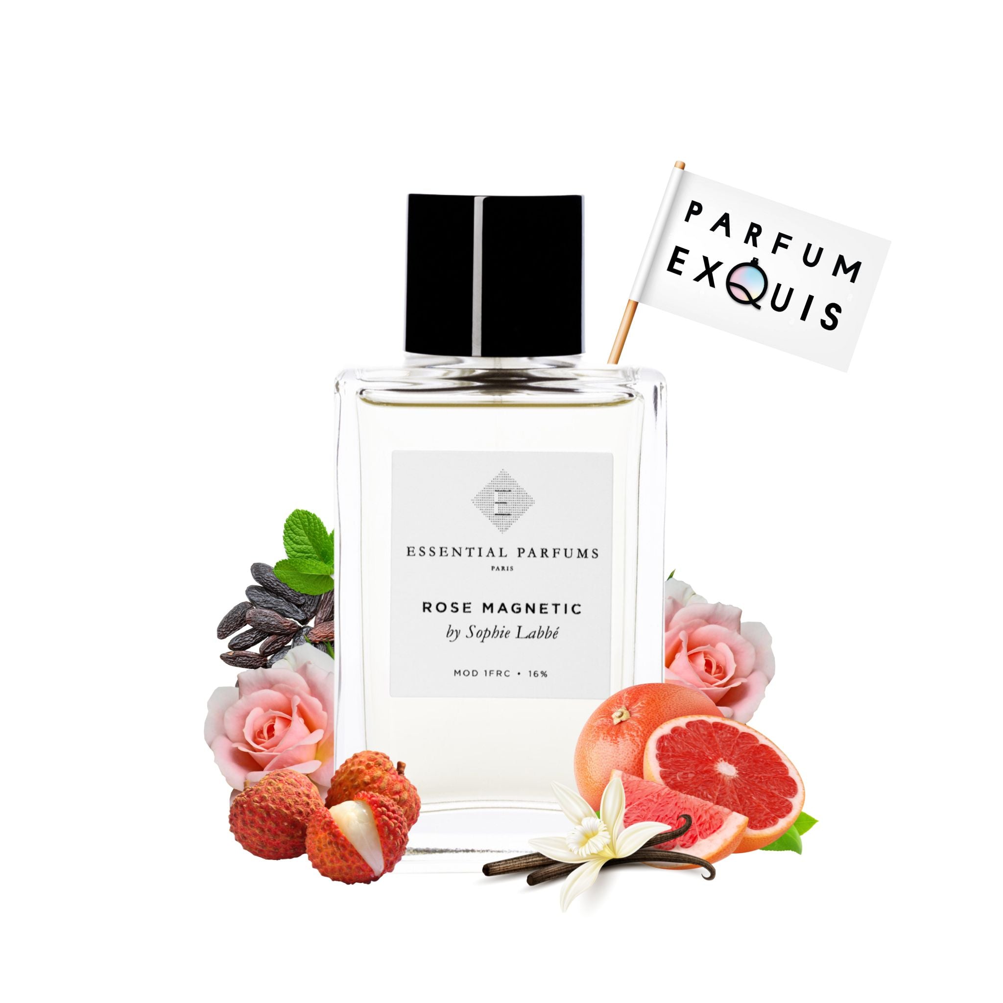 Parfum magnetic hot sale