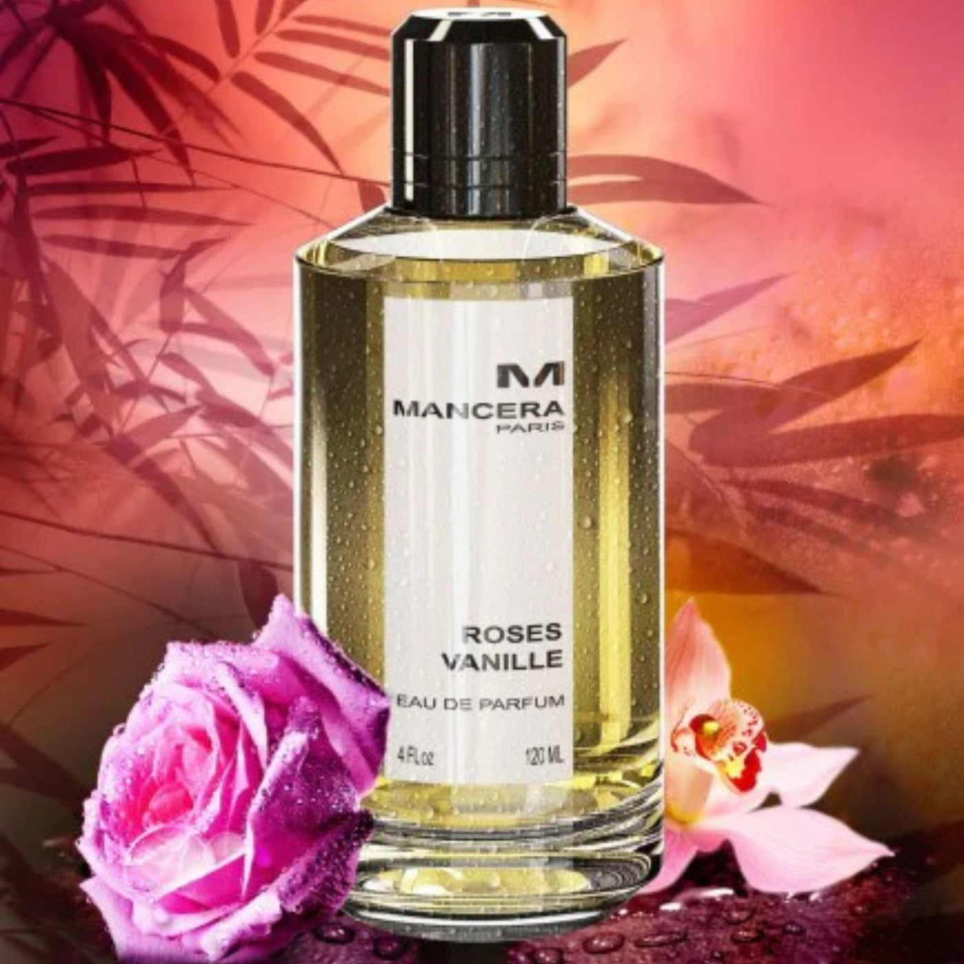 monstera rose and vanilla Roses Vanille | Mancera