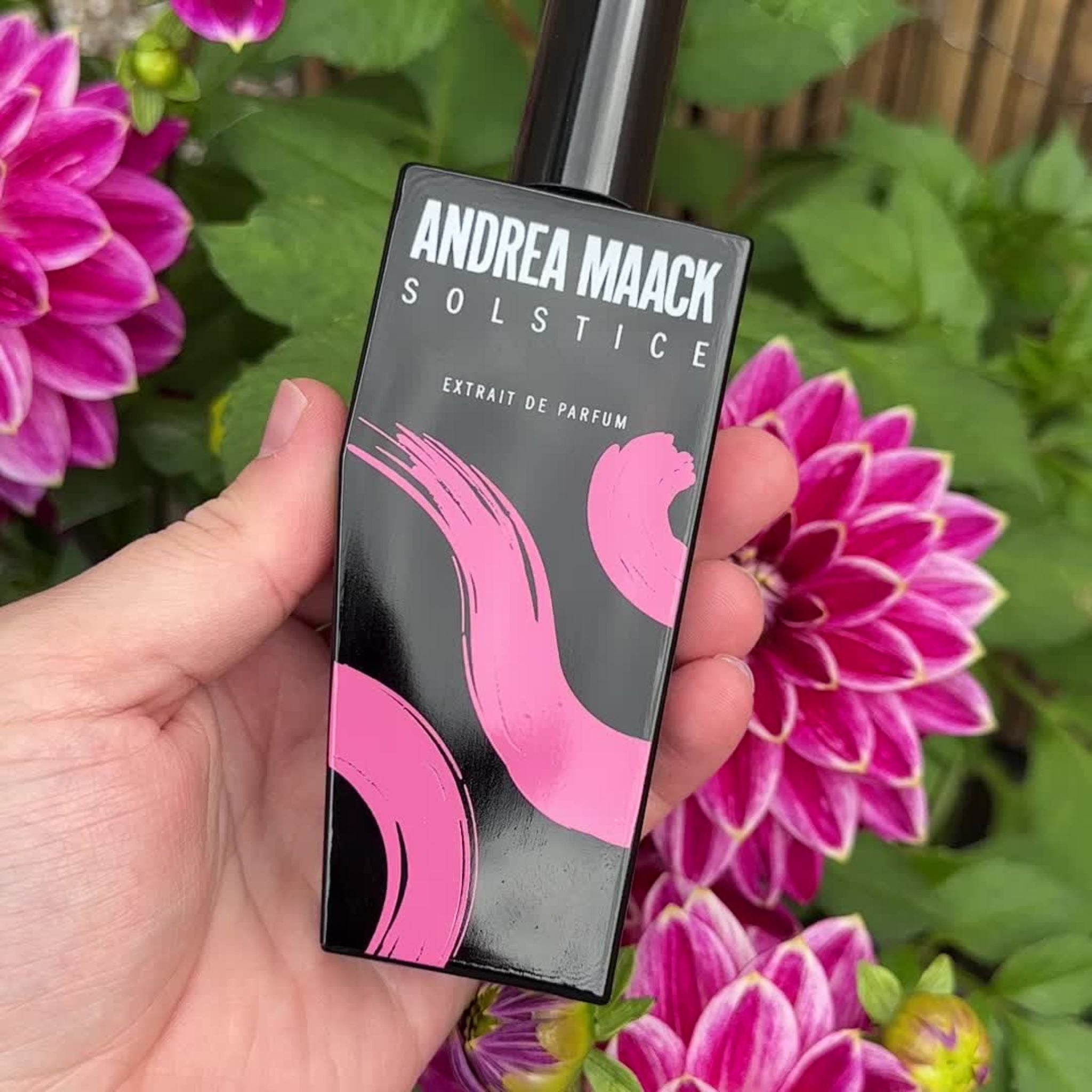 Solstice | Andrea Maack | parfumexquis