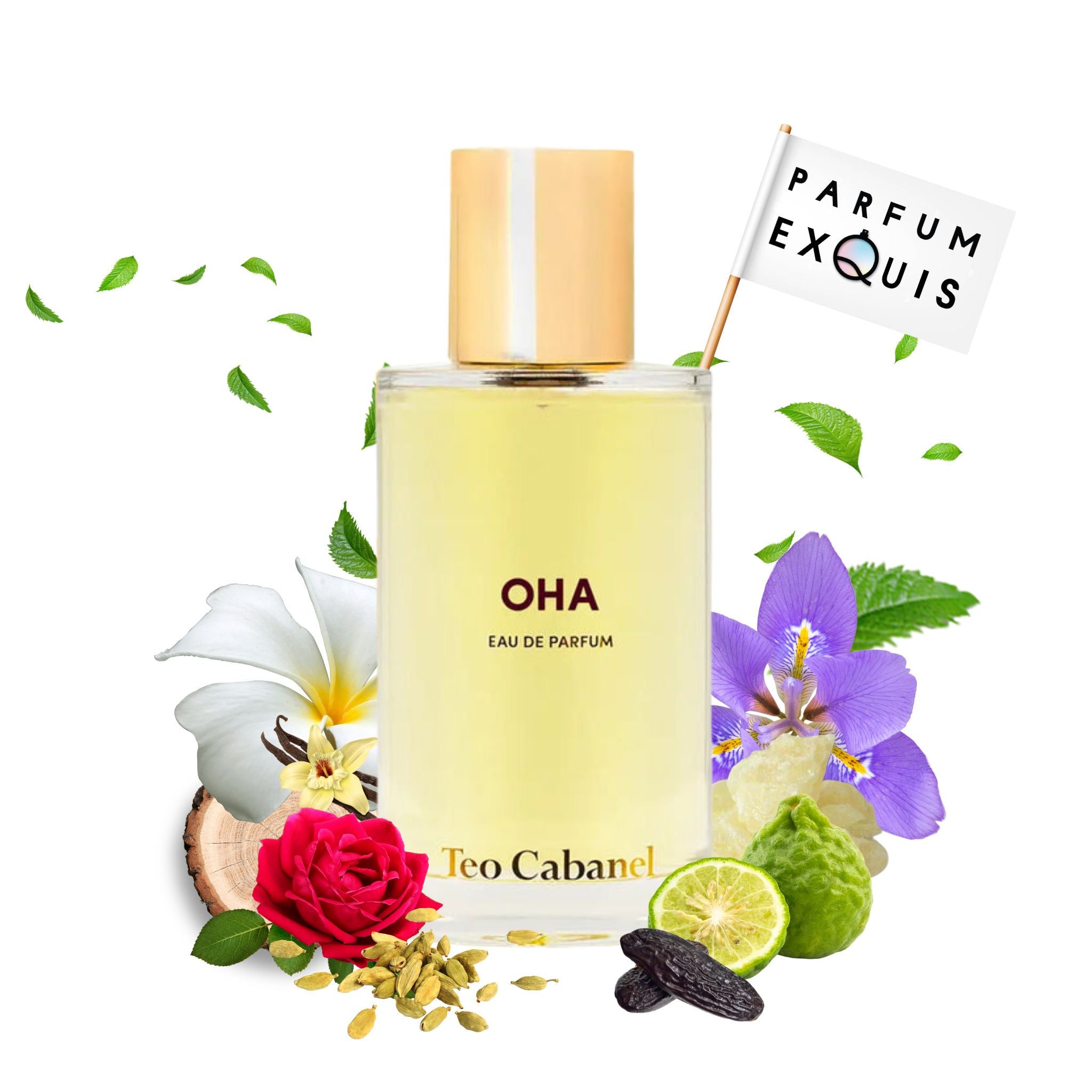 新品★TEO CABANEL★Alahine★EDP100ML★美しい東洋の香り Oha | Teo Cabanel | parfumexquis