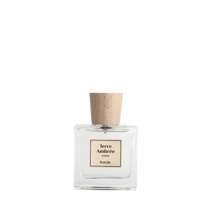 Terre Ambree Poecile