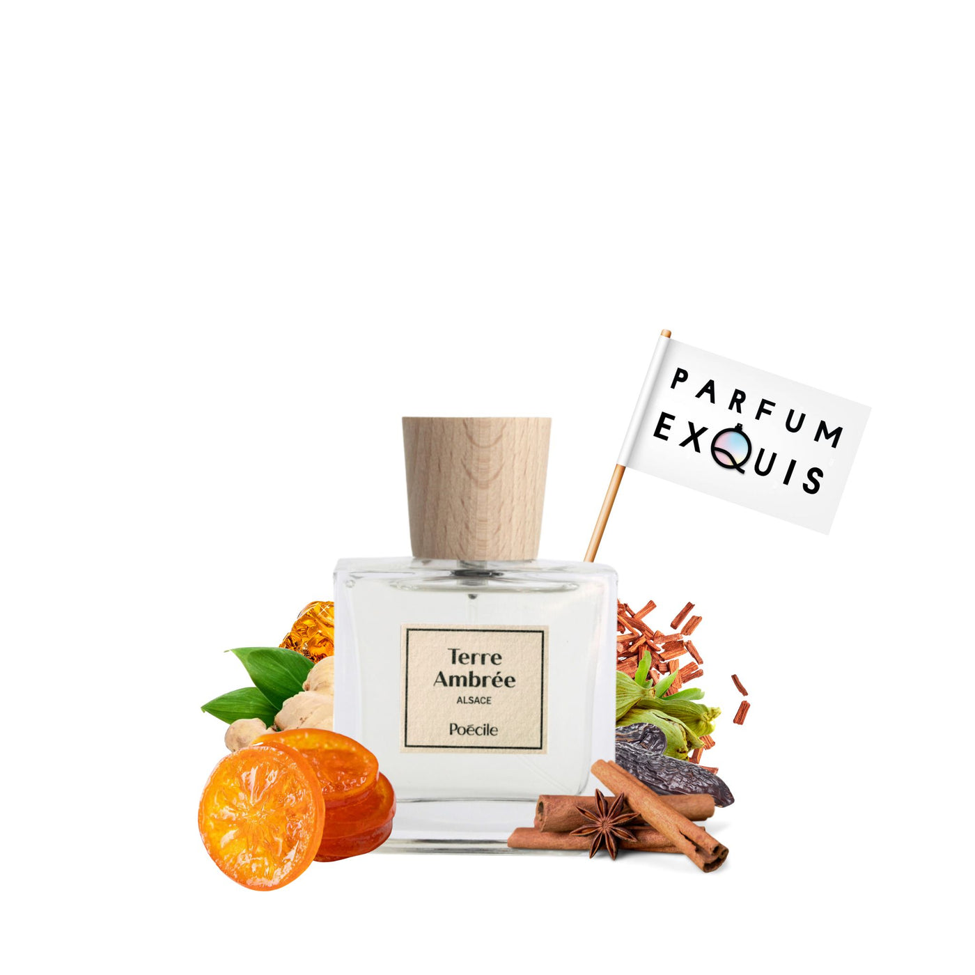 Perfume Terre Ambree Poecile