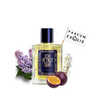 Une nuit Nomade Love at first sight New