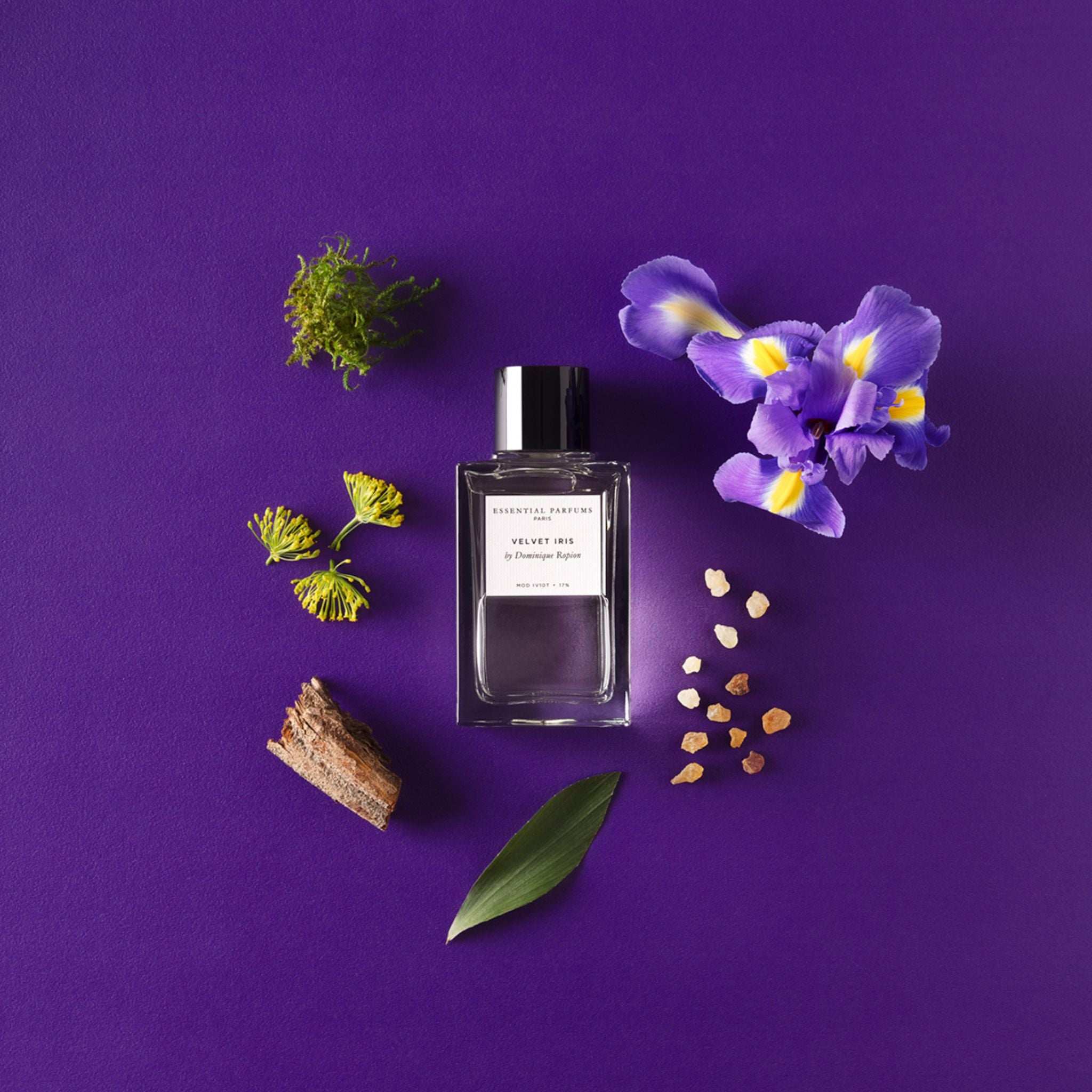 Velvet Iris | Essential Parfums | parfumexquis