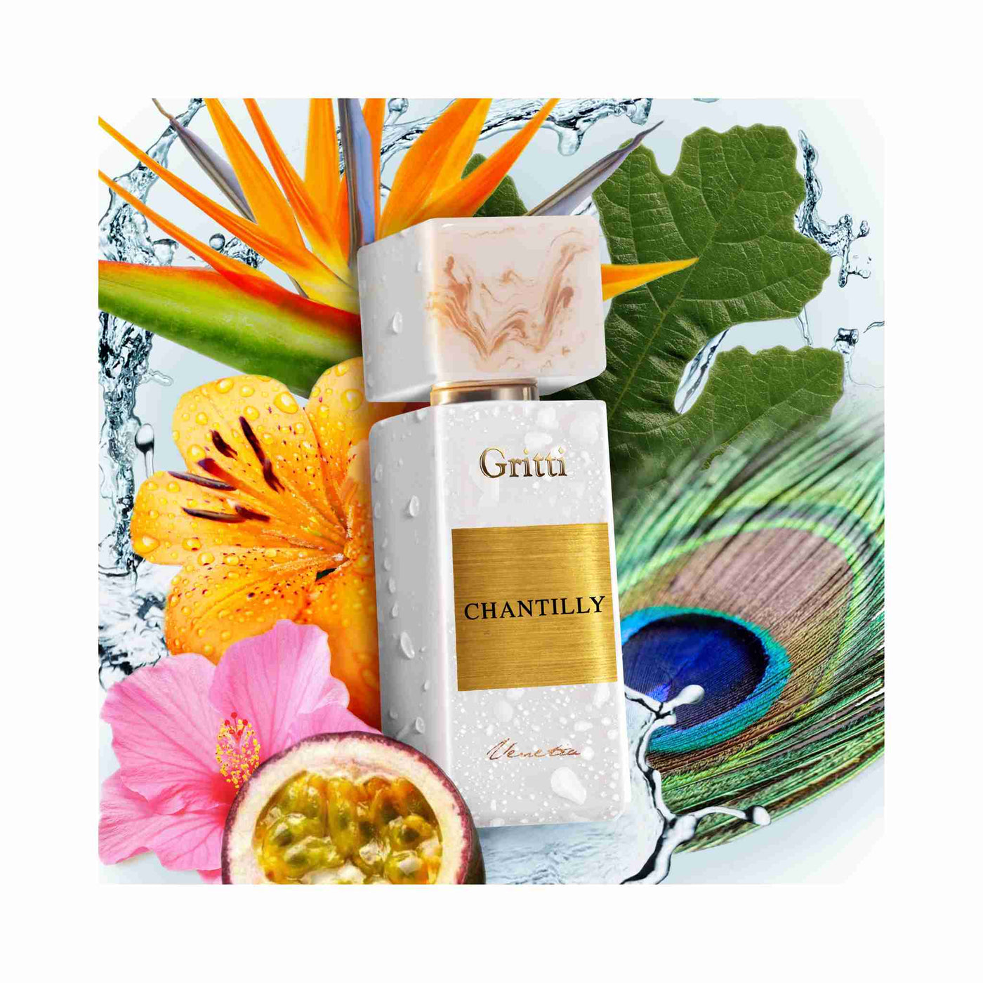 Chantilly Gritti fragrance