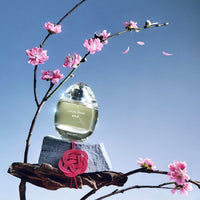 d'Annam Fragrance Sakura Snow