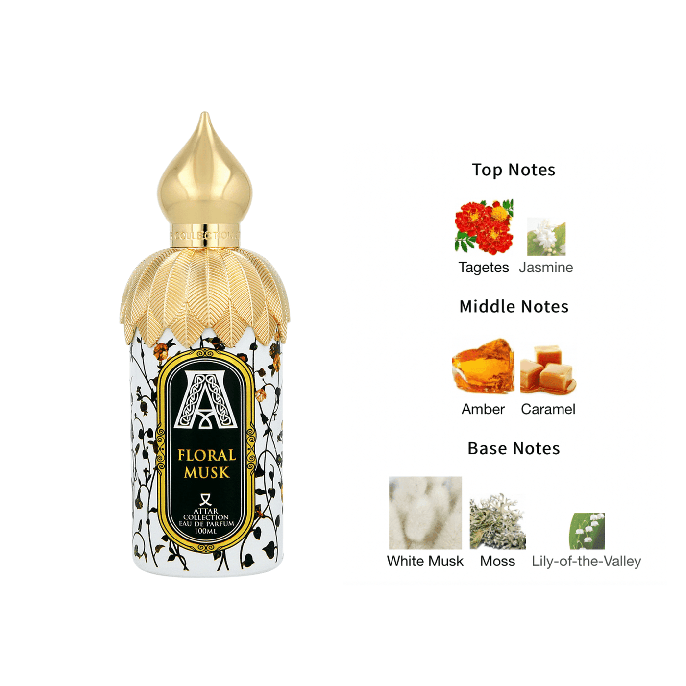 Floral Musk Attar collection perfume buy